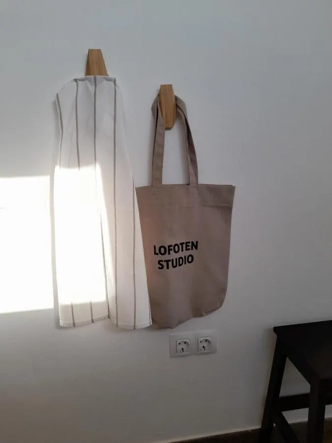 Lofoten Studio Apartment Villaverde